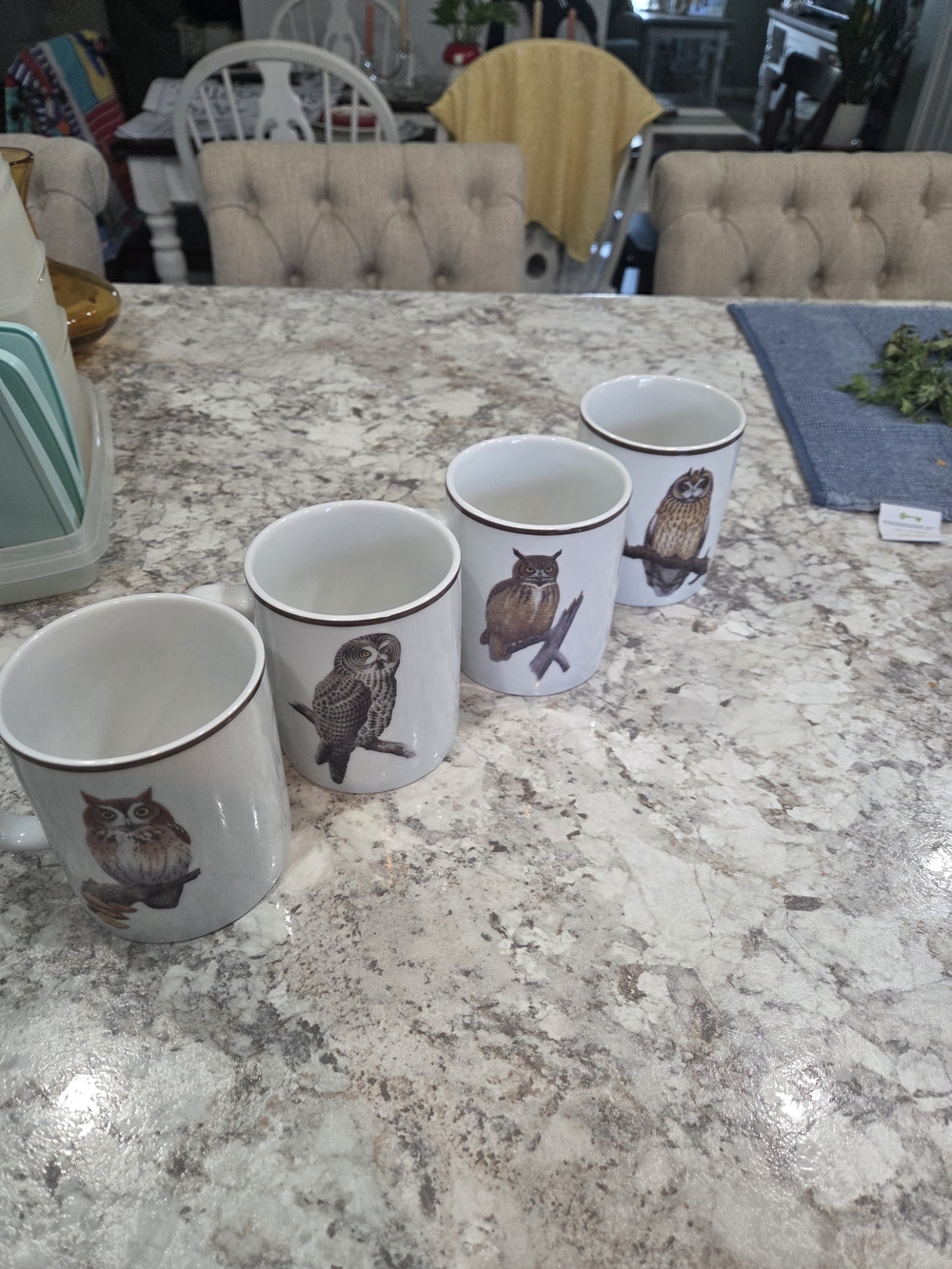 Set of 4 Owl Ceramic Coffee Mugs in White with Brown Accent